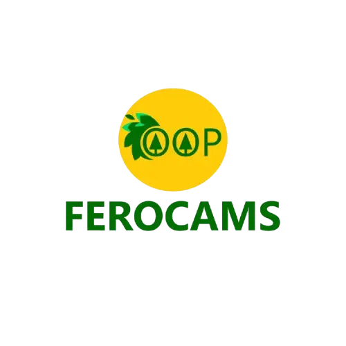 454383816 7873577859386394 7547121729424519155 n removebg preview