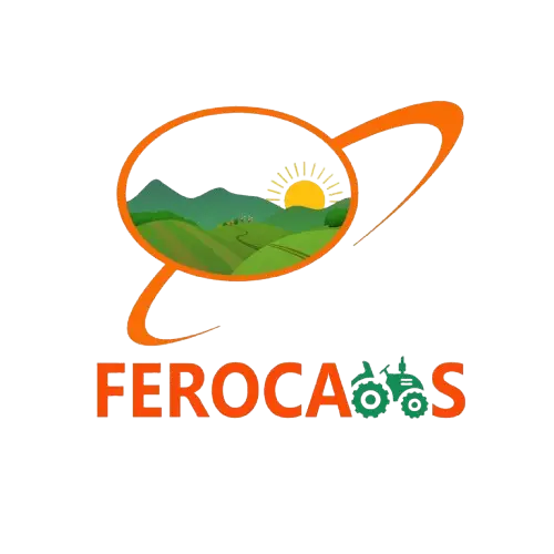 454548250 7883898951687618 6643689814933049071 n removebg preview